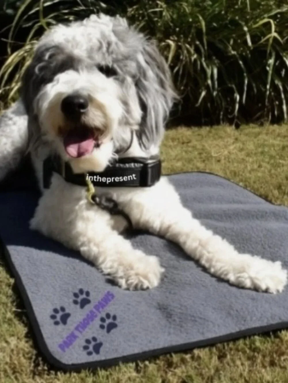 Park Those Paws Foldable, Waterproof, Dog Blanket / Size LG/XL